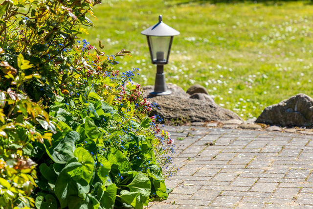 Ferienhaus in Boltenhagen - AHOl Ferienhaus - Bild 10