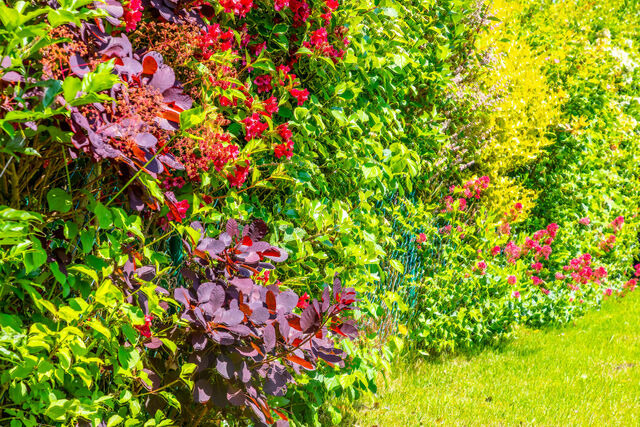 Ferienwohnung in Boltenhagen - Unterm Dachl&auml;ufer EG - Bild 10