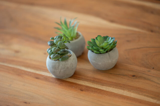 Ferienwohnung in Lauterbach - Alte Fischfabrik InselGl&uuml;ck - Bild 5