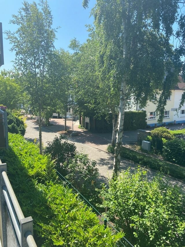 Ferienwohnung in Zingst - Meeresrauschen - Bild 11