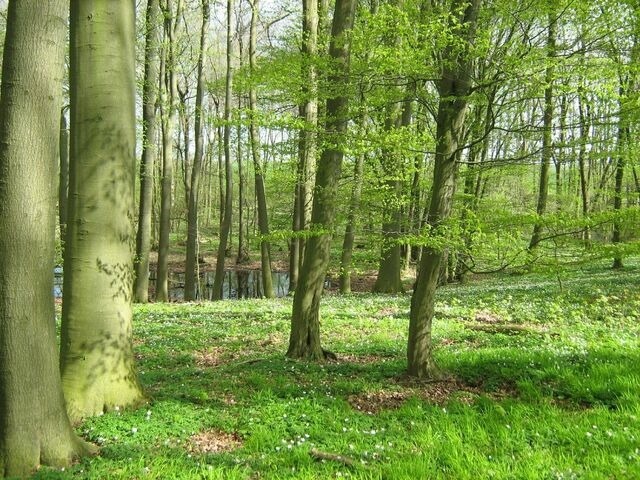 Ferienwohnung in L&uuml;bow - Eich Sahl im Herrenhaus Levetzow - 5-Sterne - ABC435 - Bild 22