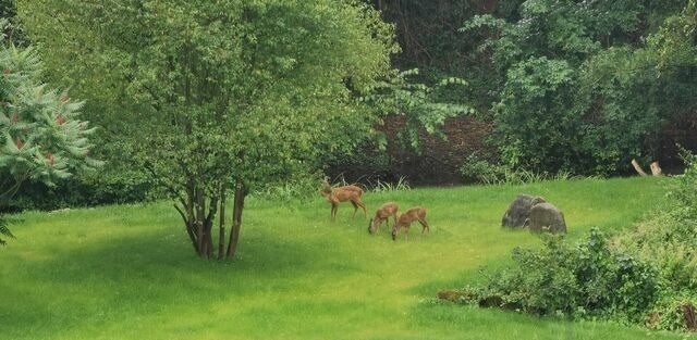 Ferienwohnung in L&uuml;bow - Eich Sahl im Herrenhaus Levetzow - 5-Sterne - ABC435 - Bild 23