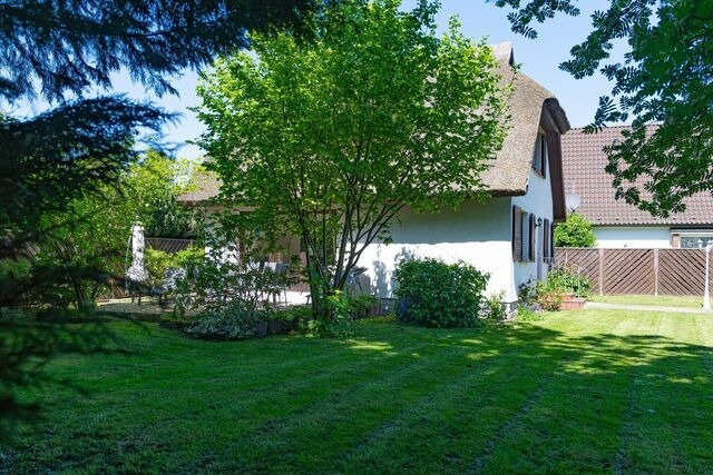 Ferienhaus in Zingst - Gl&uuml;cksfinder - Bild 16