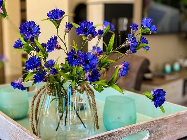 Ferienhaus in Zingst - Zeeskahn - Bild 15