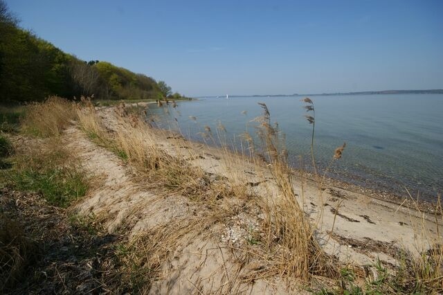 Ferienwohnung in Alt Reddevitz - H&ouml;fthus 8 - Bade- & Erlebniswelt t&auml;glich inklusive - Bild 25