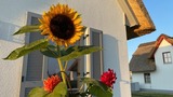 Ferienhaus in Zierow - Reethaus "MeerZeitHaus" - Bild 17