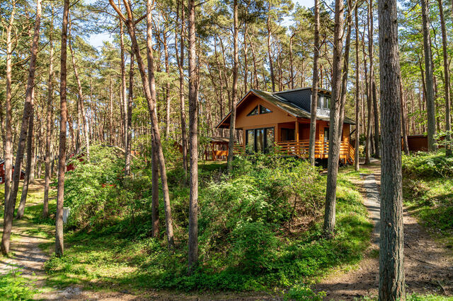 Ferienwohnung in Baabe - Ferienhaus Wald & Meer - Bade- & Erlebniswelt t&auml;glich inklusive - Bild 2