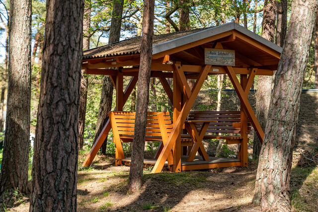 Ferienwohnung in Baabe - Ferienhaus Wald & Meer - Bade- & Erlebniswelt t&auml;glich inklusive - Bild 17