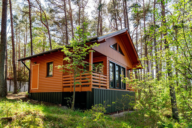 Ferienwohnung in Baabe - Ferienhaus Wald & Meer - Bade- & Erlebniswelt t&auml;glich inklusive - Bild 20