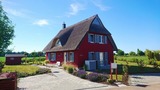 Ferienhaus in Zierow - Reethaus "Godewind" - Bild 5
