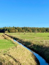 Ferienwohnung in Maasholm - Ferienwohnung Jasmin Ostsee - Bild 8