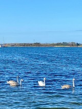 Ferienwohnung in Maasholm - Ferienwohnung Jasmin Ostsee - Bild 11